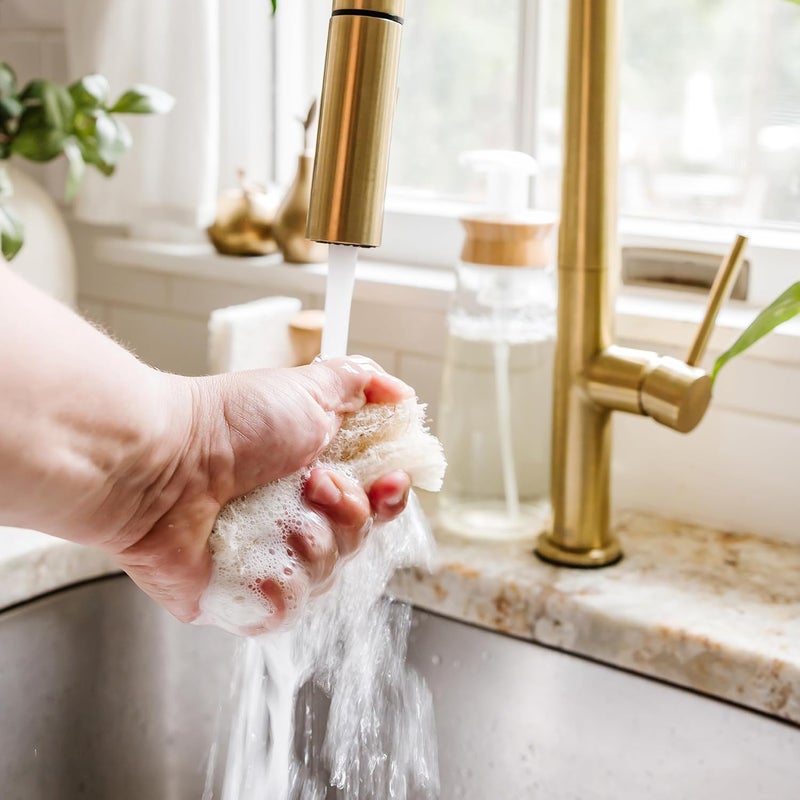 Full Circle Coconut Scrubber Sponges, Pack of 6 – Dual-Sided, Plant-Based Sponges Made with Coconut Shells, Cellulose & Recycled Materials, Safe for Nonstick Cookware - Image 3